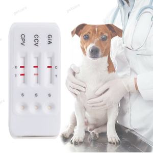 하이 퀄리티 송곳니 파보 바이러스 항원 (CPV Ag) 송곳니 코로나 바이러스 항원 (CCV Ag) 및 로타 바이러스 (CRV Ag) 결합 된 테스트 카드 - Product Image 5