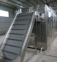 Automatische 10 ton per dag op maat gemaakte continue transportband droogmachine voor fruit en groenten