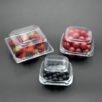 Fournisseur Direct E-commerce Populaire Emballage pour Raisins Boîte Coque en Plastique PET Jetable pour Fruits Série MX LIXIN 0.3mm