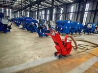 Garantie de 12 mois Prix d'usine Approuvé CE/ISO9001 Petite machine de sablage pour l'élimination des traces au sol 120v