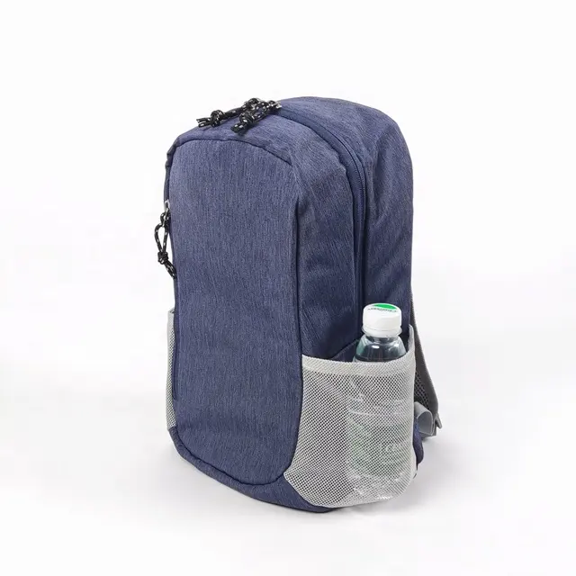 Waterproof Polyester Big Capacity 15L 20L 30L Casual Sports Backpacks Laptop Backpack Outdoor Travel Hiking School Bag