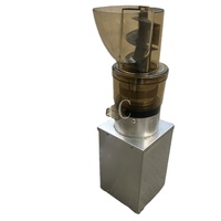 Machine à jus électrique rapide pour gingembre, pomme, poire, raisin – Presse-jus à froid