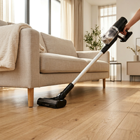 Aspirateur balai sans fil en gros d'usine, puissant, léger, pour le nettoyage des sols, des tapis et des poils d'animaux domestiques