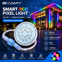 Lumière LED RGB adressable 24V DC WS2811/UCS1903 IP67 étanche pour l'éclairage architectural extérieur et des parcs à thème