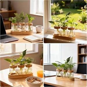Stations de propagation, terrarium pour plantes avec couvercle et support en bois, vase à fleurs en verre pour bureau, décoration intérieure, cadeaux - Product Image 6