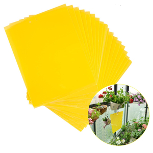แผ่นกาวดักแมลงสองด้าน สีเหลือง สำหรับดักแมลงวันผลไม้ - Product Image 1