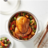Casserole à four hollandais en fonte émaillée de 11 pouces avec revêtement en émail de couleur avec couvercle en fer