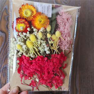 M61 Matériel de fleurs séchées DIY, fleurs séchées réelles conservées, fleurs pressées parfumées pour la fabrication de bougies parfumées, savon en résine, art des ongles, bijoux - Product Image 6