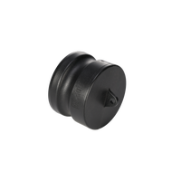 Bouchon anti-poussière Camlock Type DP 2 pouces pour adaptateur de réservoir IBC, raccord rapide, bouchon de protection à came et rainure pour connecteur de réservoir