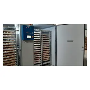 Controlador de temperatura de incubadora de huevos automática de gabinete Industrial de alta calidad para granja avícola de pollo hecho en Vietnam