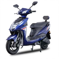 Moto électrique longue portée 1000W Vente directe d'usine