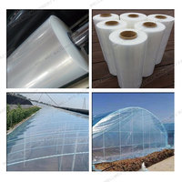 Nueva Máquina Extrusora de Película Plástica Agrícola de 2500 mm de Ancho, HDPE LDPE LLDPE, WELLMEC SJ-A 150-200 kg/h para Invernadero
