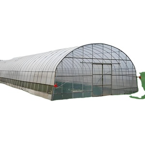 Serra economica del Tunnel commerciale del cerchio agricolo 20-100m pellicola di plastica pomodoro verde casa