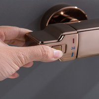 Ensemble de douche mural moderne en laiton brossé avec pommeau de douche pluie thermostatique en céramique, double poignée, robinet de massage pour usage hôtelier
