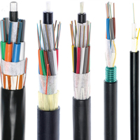 Kabel Serat Optik Fiber Optik Anti Hama Hewan Pengerat Berlapis Baja Luar Ruangan Zisa Factory 1 2 4 6 8 12 24 48 96 144 Core ADSS ASU GYXTW Ftth Drop