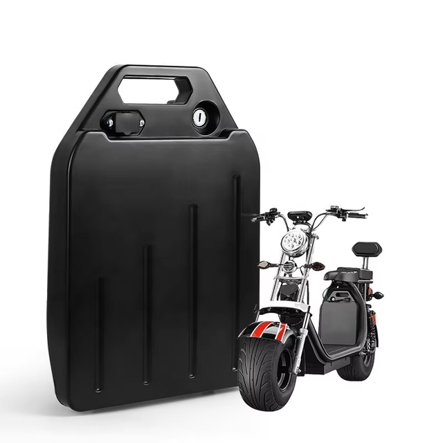 Custom Moped Scooter Motorcycle Battery 60V Lithium Battery Pack for E-bike with 2500mAh-5000mAh Cells