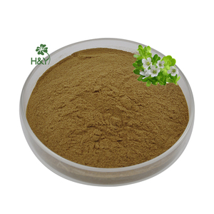 Водорастворимый порошок бакозида 50% экстракта <span class=keywords><strong>Bacopa</strong></span> <span class=keywords><strong>Monnieri</strong></span> - Product Image 2