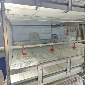 Çin üretimi tavuk kümesi broiler ve ucuz et broiler yetiştirme tavuk pil kafesleri fiyatları - Product Image 3