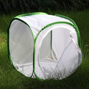 Terrarium portable carré en polyester à motif uni, respirant, avec fermeture éclair, pour l'élevage de papillons monarques et de chrysalides - Product Image 3