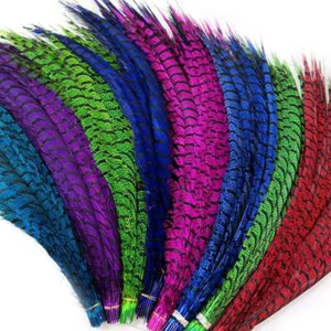 Plumas <span class=keywords><strong>de</strong></span> Cola <span class=keywords><strong>de</strong></span> Faisán Teñidas al por Mayor, Plumas <span class=keywords><strong>de</strong></span> Cola <span class=keywords><strong>de</strong></span> Faisán Ringneck Baratas para Disfraces <span class=keywords><strong>de</strong></span> <span class=keywords><strong>Carnaval</strong></span> y Festivales - Product Image 4