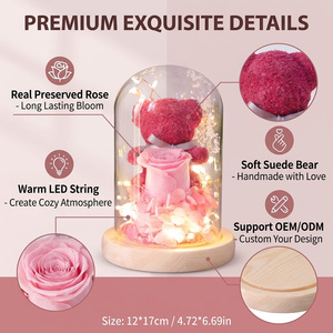 Rosa Eterna en Cúpula de Cristal con LED, Ramo de Rosas con Musgo Preservado, Nuevo Diseño, Regalo para San Valentín y el Día de la Madre - Product Image 2