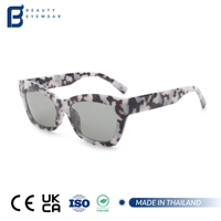 Lunettes de soleil unisexes classiques tendance à motif léopard pour hommes et femmes, de marque OEM, de créateur, de luxe, de haute qualité