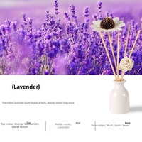 Diffuseur de parfum en céramique naturel longue durée, kit d'huiles aromatiques avec bâtonnets en rotin pour chambre à coucher, décoration intérieure, cadeau