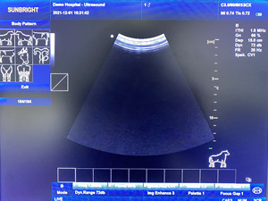 Sistem Ultrasound Veteriner B/W Berkualitas Tinggi dan Murah, Perangkat Ultrasound <span class=keywords><strong>Doppler</strong></span> - Product Image 5