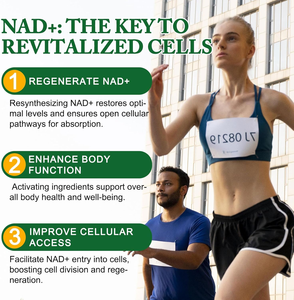 Hoge Kwaliteit Custom 500Mg Nicotinamide Riboside Nad Resveratrol Antioxidant Adult Anti-Aging Supplement Capsules Quercetine - Product Image 3