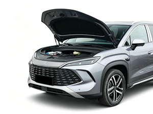 BYD Song L DM-i <span class=keywords><strong>Hybride</strong></span> 2026, Argent, Autonomie 130 km, Nouveau Modèle, Voiture Premium et Économique d'Occasion - Product Image 3