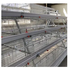 Poultry farming equipment type A automatic system layer broiler chicken cage for sale