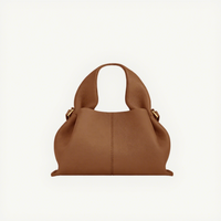 Sac à main messager tendance pour femme, motif litchi, style dumpling, collection transfrontalière Polen Bollinger Cloud Bag