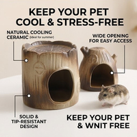 Niche de cachette pour tortue, en céramique, écologique, réutilisable, pour l'élevage de petits animaux, rafraîchissement estival, luxe, moderne, décoration de terrarium type maison d'arbre