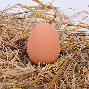 1 Pieza Huevo Saltarín Novedoso para Principiantes, Bolas <span class=keywords><strong>de</strong></span> <span class=keywords><strong>Goma</strong></span> Realistas, Huevo Mágico <span class=keywords><strong>de</strong></span> Gallina para Nido, Juguete para Mascotas - Product Image 3