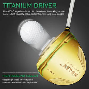 Passen Professional 11-Piece Stainless Steel <b>Golf</b> Club Set Men Women Carbon Shaft Gold Color Practice Clubs <b>Golf</b> <b>Bag</b> - Product Image 4