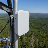 Estación Base 4G para Exteriores con Clasificación IP66, 2x500mW, Banda 8, 900MHz, ENodeB, Celda Pequeña Integrada 4G LTE BTS con Soporte PoE++