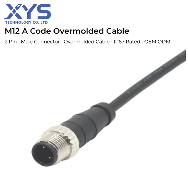 Custom M12 a Code 12 Pin IP67 Waterproof Gold Plated Contacts Male Circular Connector Overmolded Cable Assembly