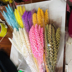 Lot de 10 tiges naturelles séchées au soleil de <span class=keywords><strong>millet</strong></span>, d'épis de blé et de sorgho, matériel floral séché pour bouquets faits main - Product Image 4
