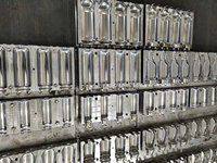 Moules d'extrusion pour produits chimiques quotidiens en plastique PP PE PC ABS, flacons de détergent liquide