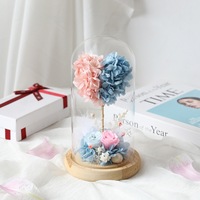 Rose éternelle et Hortensia sous cloche en verre – Coffret cadeau pour la Saint-Valentin, la Fête des Mères, la remise des diplômes – Décoration longue durée 3-5 ans