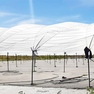 Grande Tunnel per la Protezione delle Colture di Mirtilli, Pesche, Pere e Frutteti in Australia - Product Image 3