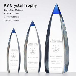 Trophée en <span class=keywords><strong>cristal</strong></span> K9 personnalisé, plaque en verre vierge pour événements sportifs, souvenirs, prix abordables - Product Image 5