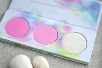 Cosmétiques minéraux en marque privée, vente en gros, maquillage du visage, poudre de blush pour les joues, blush scintillant doux, palette pour peau claire