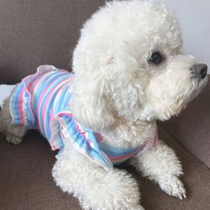 Vestido de perro pequeño con flores de arcoíris, ropa bonita para gatos, ropa refrescante de verano para perros pequeños, chaleco, vestido suave de primavera para gatos, ropa para mascotas - Product Image 2