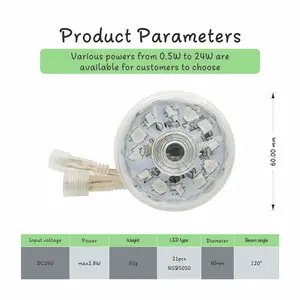 Preço de fábrica DMX programável 60mm LED Cabochão luz de roda gigante para decoração de parques de diversões e feiras