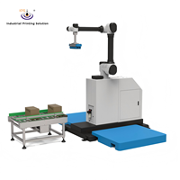 Palettiseur robotisé automatique ST-CP20 20 kg pour la ligne d'emballage et de superposition de cartons
