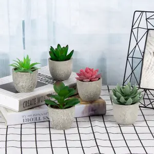 Piante nordiche di simulazione e fiori in vaso di plastica decorazione per la casa decorazione Desktop fiore artificiale Bonsai