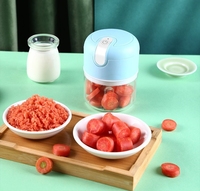 Elektrische Knoflookhakselaar-Mini Draagbare Groentehakselmenger Tot Groente, Draadloze Keukenmachine Voor Gember Chili Fruit