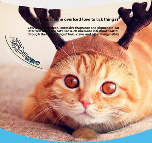 <span class=keywords><strong>Litière</strong></span> pour chat en bentonite à agglomération rapide, forme bande, 5 kg, blanche, écologique, au charbon actif minéral, en stock - Product Image 4