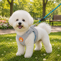 Ensemble de harnais et de laisse réfléchissants en forme d'étoile pour chien, kit pour animaux de compagnie doux et réglable pour chiens de petite et moyenne taille, chiots